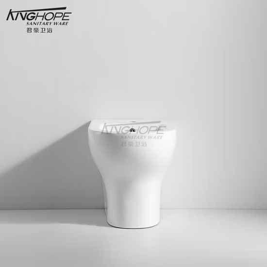 Bidé de latão Good Prize com cromo para banheiro08